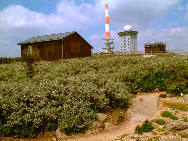  Raymond Faure - Brockengarten 