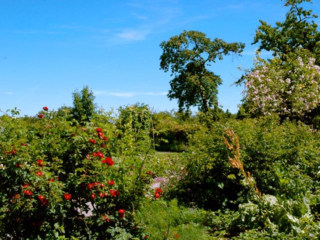 Kloster Michaelstein