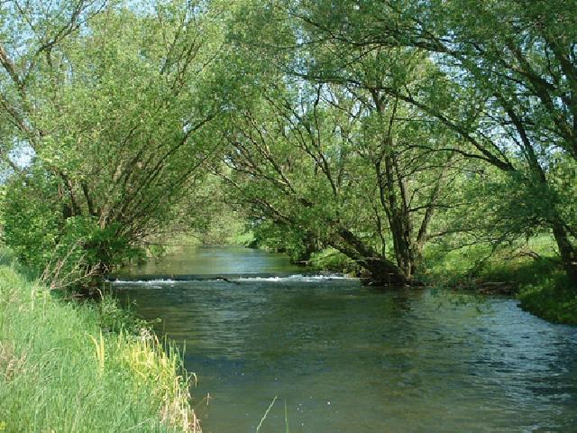  Walter Wimmer - Das Naturschutzgebiet Mittleres Innerstetal mit Kanstein