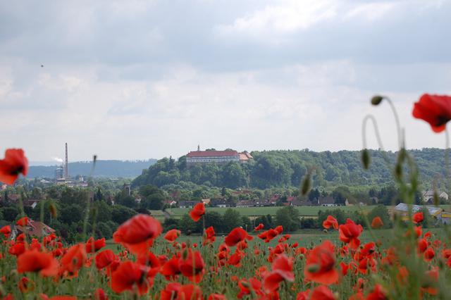 Museum Schloss Herzberg