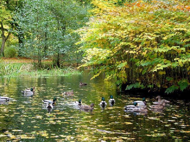 Foto: Stadtmarketing Seesen eG - Steinway Park