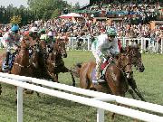 � Kur-, Tourismus- und Wirtschaftsbetriebe der Stadt Bad Harzburg GmbH