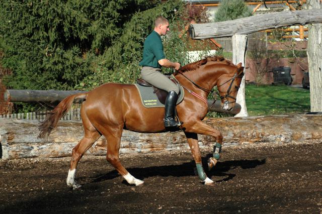 Reit- und Sporthotel Nordmann