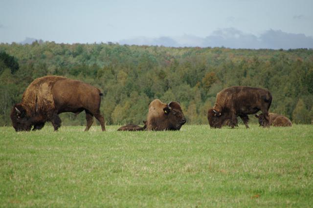 Reit- und Sporthotel Nordmann