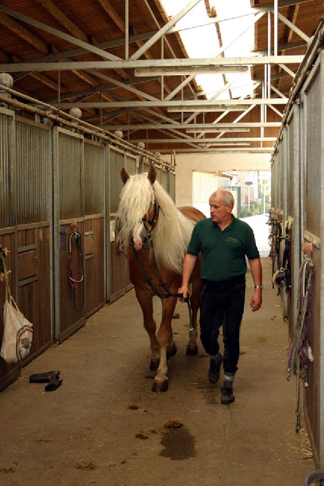 Reit- und Sporthotel Nordmann