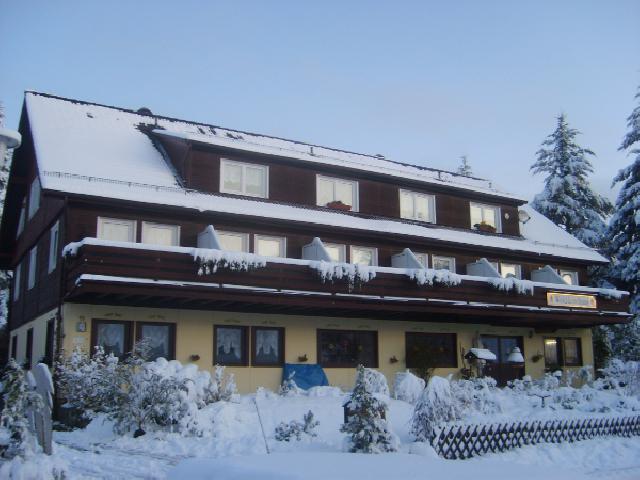 Hotel Wald-Landhaus***