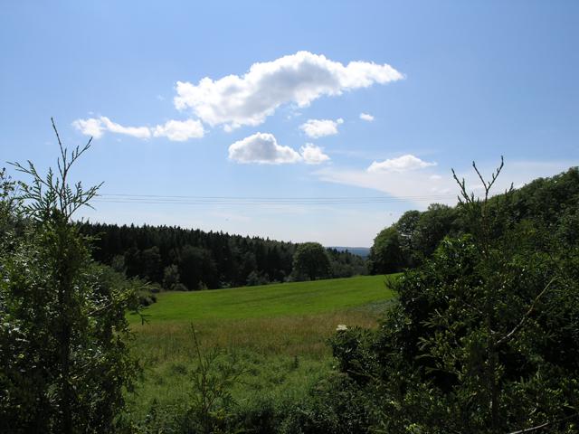 Hotel-Restaurant Harzresidenz Friedrichsbrunn