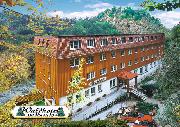 Waldhotel Am Ilsestein