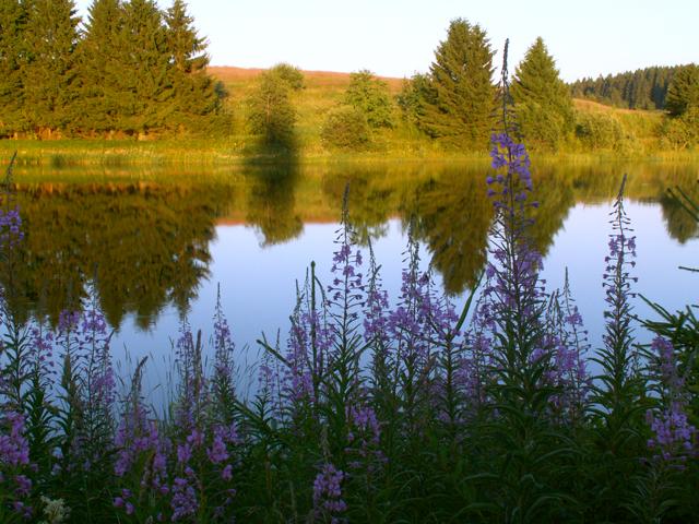 Clausthal-Zellerfeld