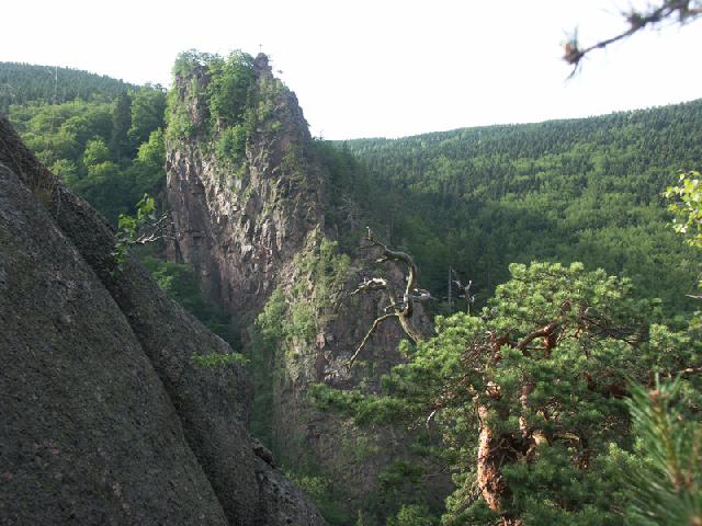 Fotograf H. blacker, Ilsestein - Ilsenburg (Harz)
