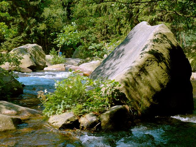  Raymond Faure - Schulenberg