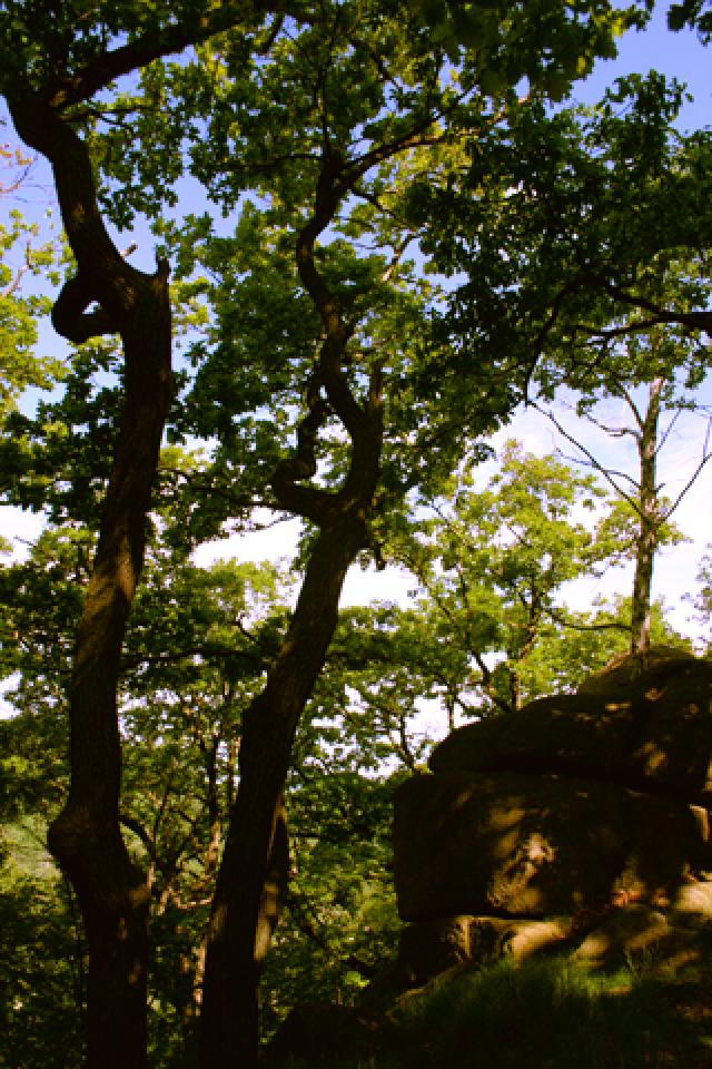  Tjark Wegener - Thale