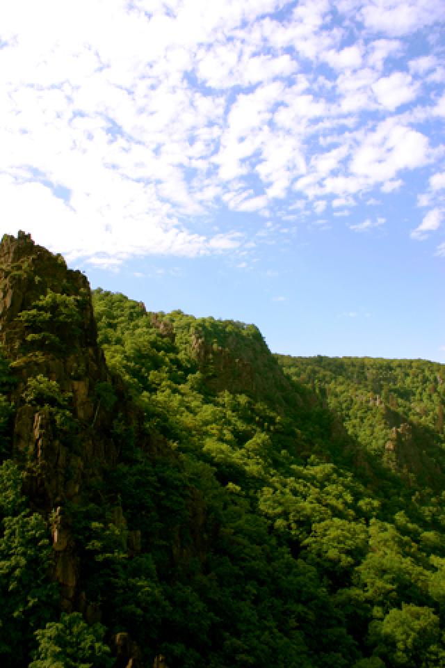  Tjark Wegener - Thale