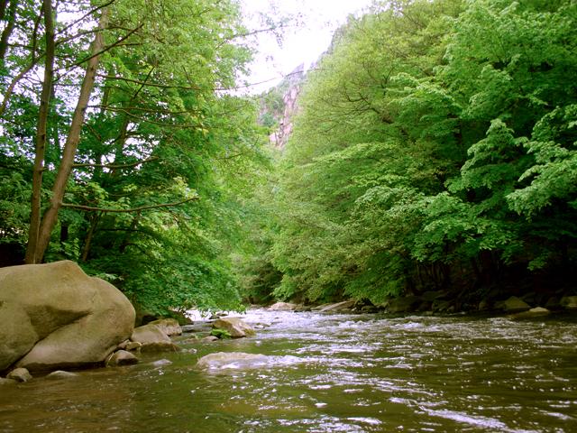  Tjark Wegener - Thale