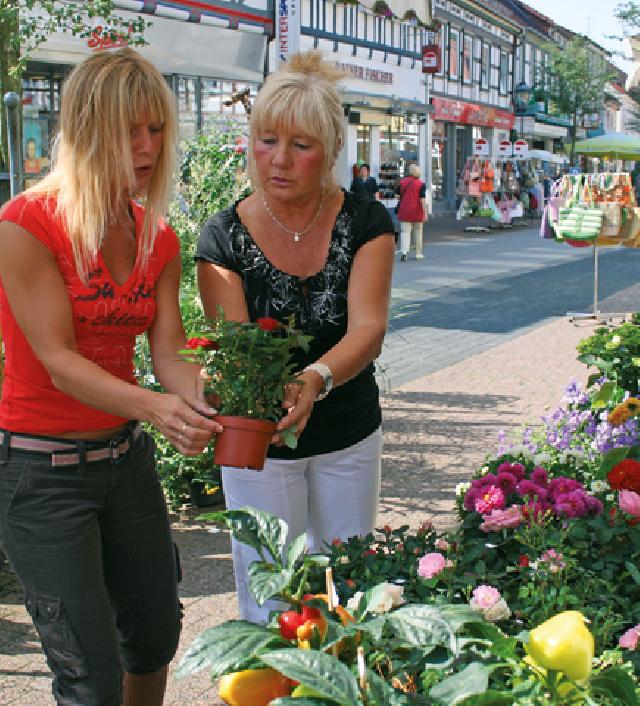 Bad Lauterberg im Harz