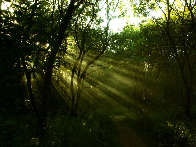 Clausthal-Zellerfeld