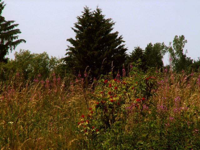 Clausthal-Zellerfeld