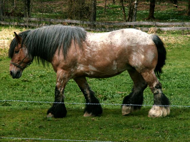 Clausthal-Zellerfeld